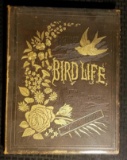 Pictures of Bird Life in Pen and Pencil (1882)