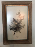 Framed Audubon Print