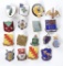 Group of 17 Assorted Division Insignia Pins