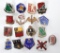 Group of 17 Assorted Division Insignia Pins