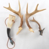 Group of Antlers and a Powder Horn