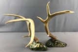Pair of Antlers displayed on Stone