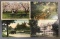 Postcards-Box Lot State Views