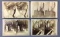 Group of 18 Antique Stereoview Cards of Caverns of Luray Virginia