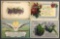 Postcards-Box Lot