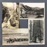 Postcards-Real Photos State City Views