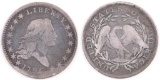 1795 Flowing Hair Silver Half Dollar.