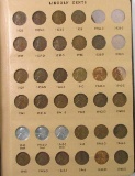 Group of (216) Lincoln Wheat & Memorial Cents in Dansco Album.