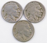 Group of (3) Buffalo Nickels.