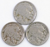Group of (3) Buffalo Nickels.