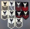 Group of 10 Vintage WWII Military Rank Insignia