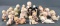 Group of 25 porcelain Kewpie figurines
