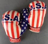 Group of 2 patriotic novelty boxing gloves