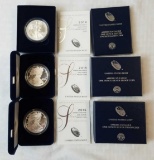 Group of (3) American Silver Eagle 1oz.