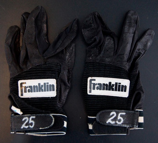 Houston Astro Denny Walling Game Worn Batting Gloves