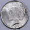 1925 P Peace Silver Dollar.