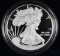 2013 W American Silver Eagle Proof 1oz.