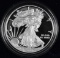 2016 W American Silver Eagle Proof 1oz.