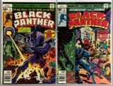 Group of 2 Marvel Comics Black Panther Comic Books