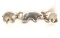 Bold + Beautiful Sterling Silver Bear Bracelet