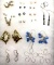 Lot of 16 Pairs: Sterling Silver Earring Assortment