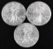 Group of (3) 2019 American Silver Eagle 1oz.