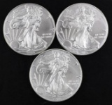 Group of (3) 2019 American Silver Eagle 1oz.