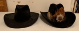 Group of 2 : Cowboy Hats