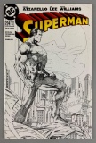 DC Comics Superman No. 204 Jim Lee Sketch Variant