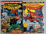 Group of 2 Marvel Comics Spider-Man Comic Books