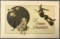 Postcard-Halloween, John Winsch