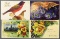 Postcards-Box Lot, Assorted Greetings