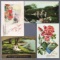 Postcards-Box Lot-Miscellaneous