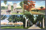 Postcards-Florida