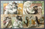 Postcards-Tucks, Humor, Cats