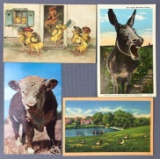 Postcards-Animals