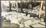 Postcard-RPPC, Cherry Mine Disaster