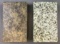 Lot of 2 : Antique (c. 1900s) Tile Samples from American Terra-Cotta Chicago