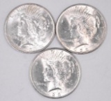 Group of (3) 1923 P Peace Silver Dollars.