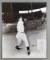 Joe DiMaggio signed photograph