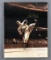 Bob Feller autographed 8x10 photograph