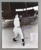 Joe DiMaggio signed photograph