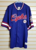 Chicago Cubs Lee #25 jersey