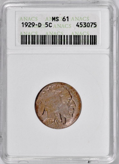 1929 D Buffalo Nickel (ANACS) MS61.