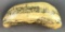 Vintage Scrimshaw: Nantucket Whaling Museum (Artek reproduction) Whale Tooth