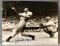 Signed Joe DiMaggio Yankees Photograph