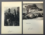 Group of 2 Signed Ansel Adams pages from book