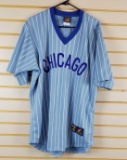 Chicago Cubs Ron Santo #10 jersey