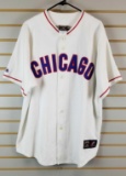 Chicago Cubs Jenkins #31 jersey