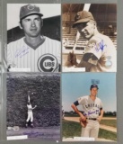 Group of 13 signed Chicago Cubs photographs